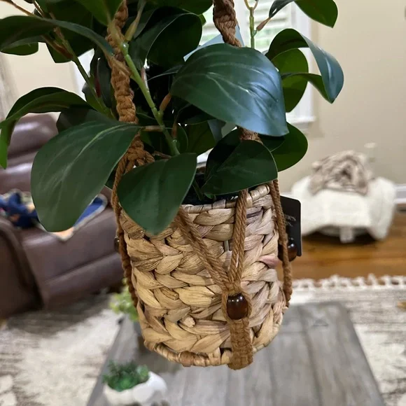 2 Hanging Planters - Picture 6 of 8